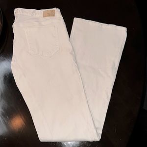Goldsign Denim Passion Jeans Bootcut Size 31